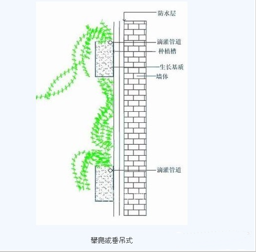 立面綠化的六種做法