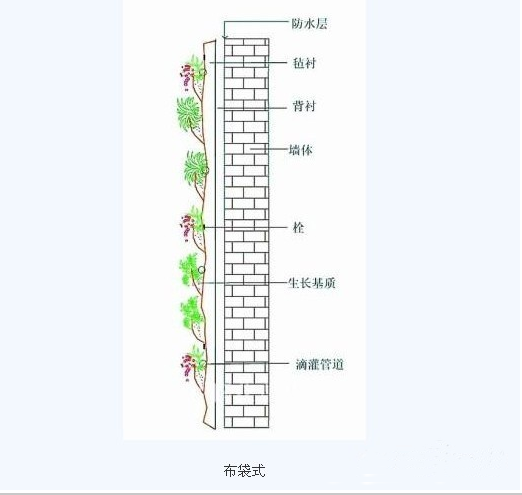 立面綠化的六種做法