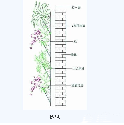 立面綠化的六種做法