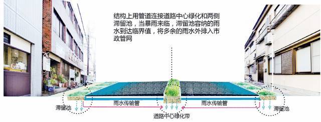 24種海綿城市設(shè)計(jì)措施全圖解