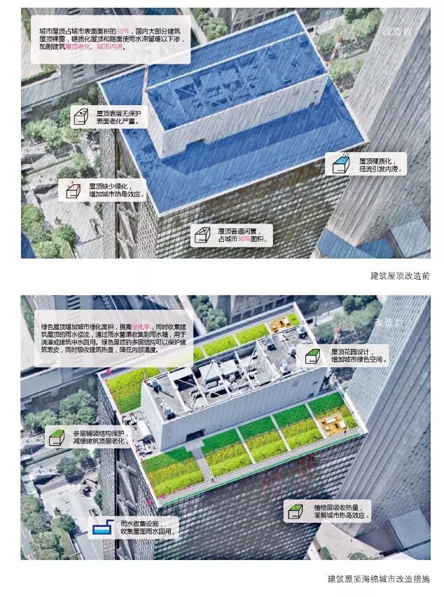 海綿城市建設(shè)：屋頂綠化解決方案