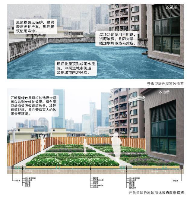 海綿城市建設(shè)：屋頂綠化解決方案